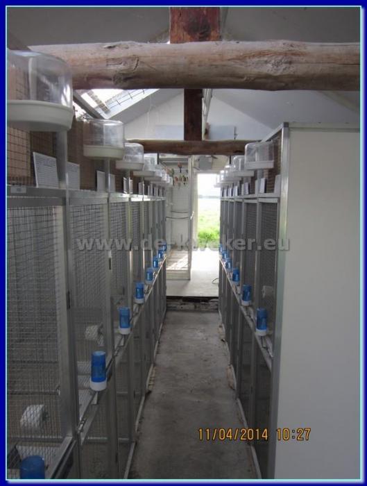 BREEDING ROOM