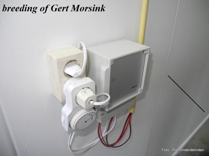 breeding of Gert Morsink