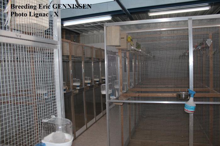 Breeding Gennissen