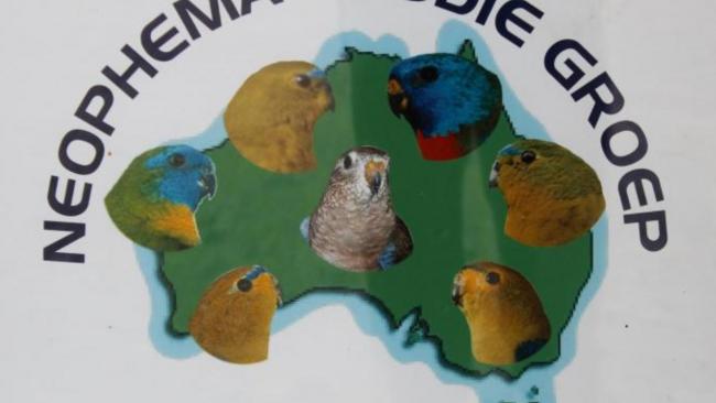 NEOPHEMA STUDIE GROUP